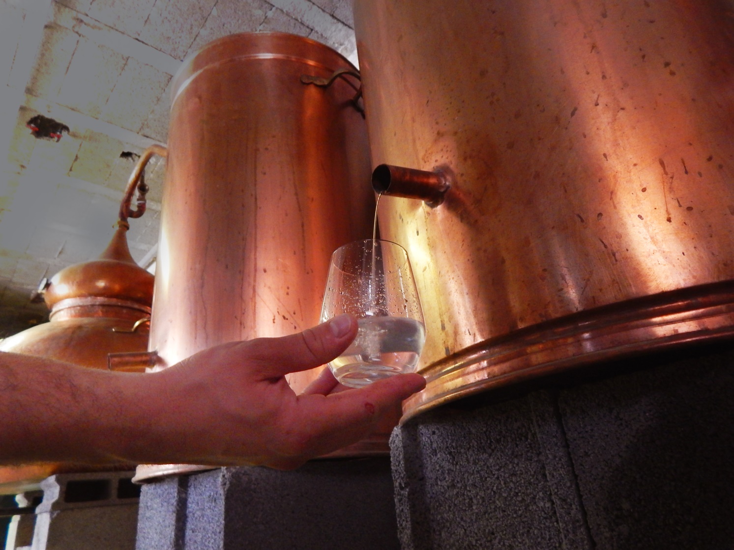 Distillation du whisky