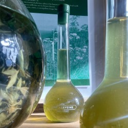 Fine verveine | HOME DISTILLERS