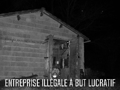 Entreprise illégale à but lucratif